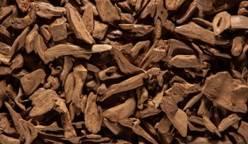Agarwood